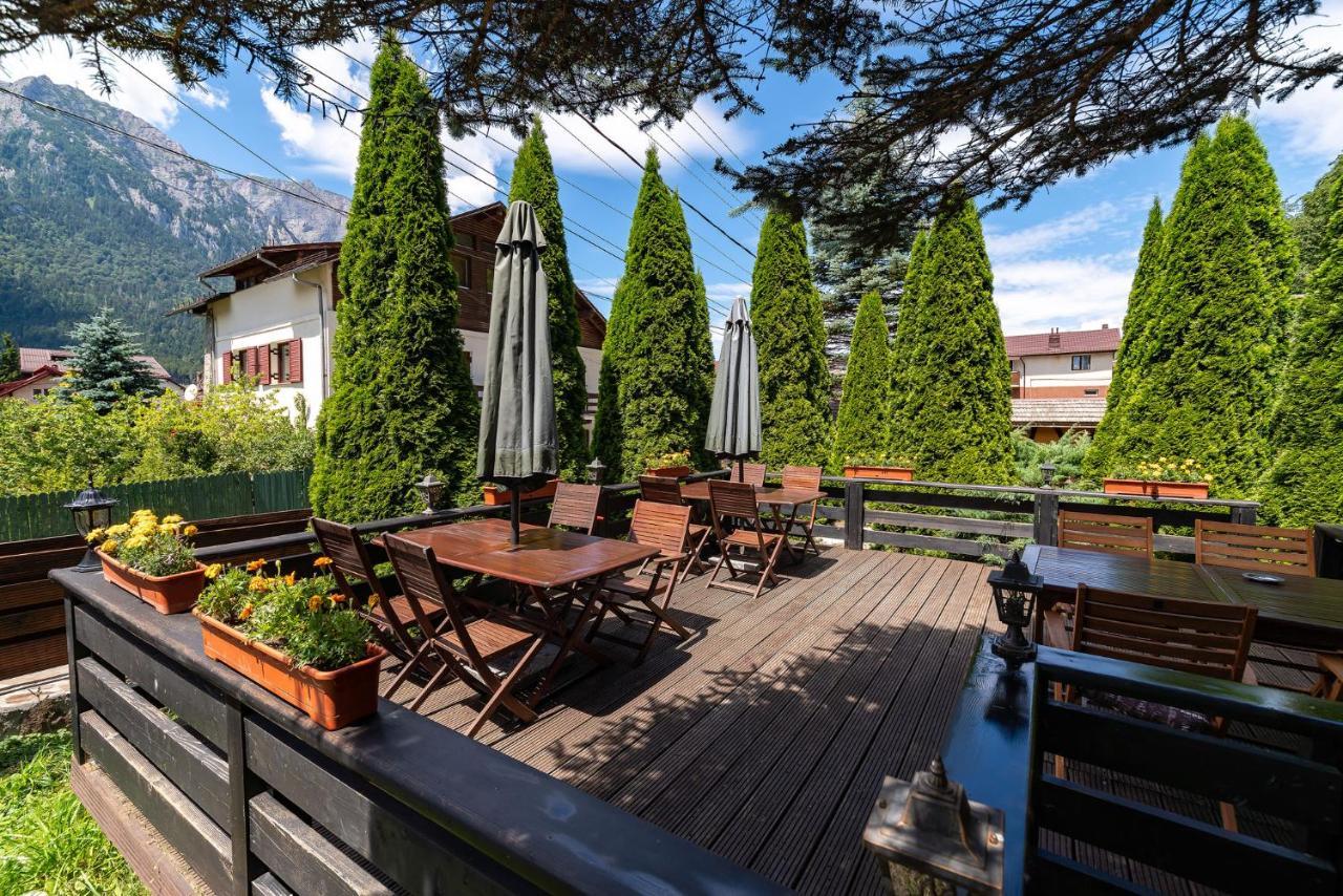 Hotel Casa Freya Buşteni Exterior foto
